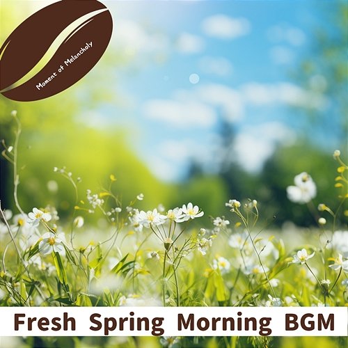 Fresh Spring Morning Bgm Moment of Melancholy