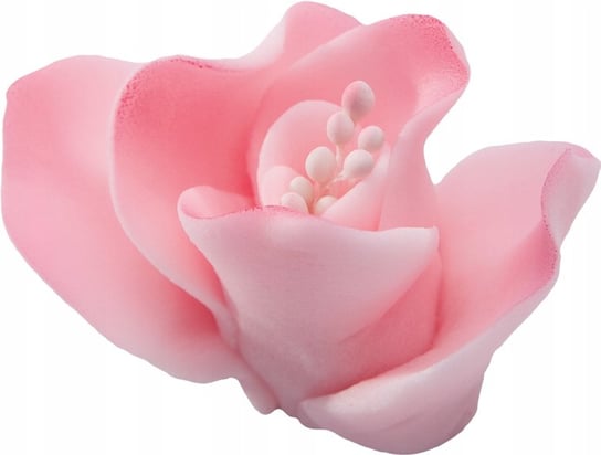 Frezja Kwiat Cukrowy Na Tort, Różowa Dekoracja Świat Cukiernika