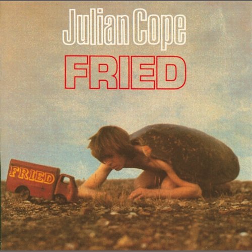 Search Party Julian Cope