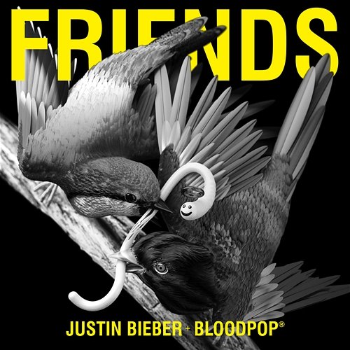 Friends Justin Bieber, BloodPop®