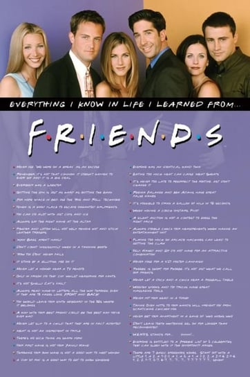 Friends Everything I Know - plakat 61x91,5 cm Friends