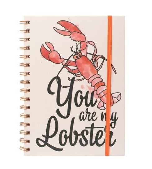Friends You are my Lobster Notes A5 na spirali 14,8x21 cm Friends
