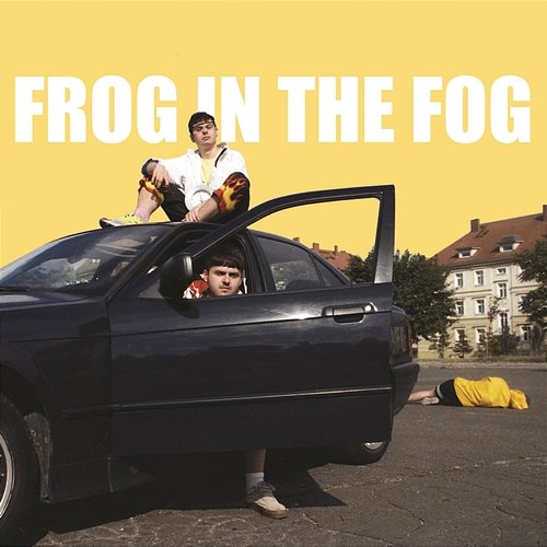 Frog in the Fog Rzabka