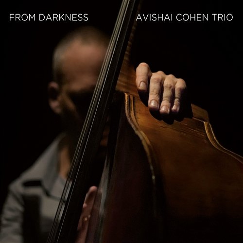 From Darkness Avishai Cohen Trio