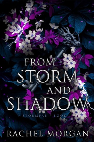 From Storm and Shadow Rachel Morgan