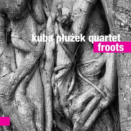 Froots Kuba Płużek Quartet