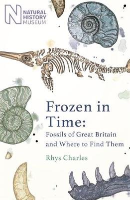 Frozen in Time: Fossils of the United Kingdom and Where to Find Them Rhys Charles