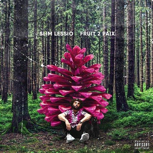 Fruit 2 paix Slim Lessio