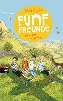 Fünf Freunde als Retter in der Not Blyton Enid