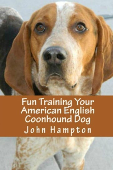 Fun Training Your American English Coonhound Dog Hampton John