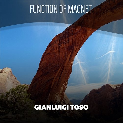 Function Of Magnet Gianluigi Toso