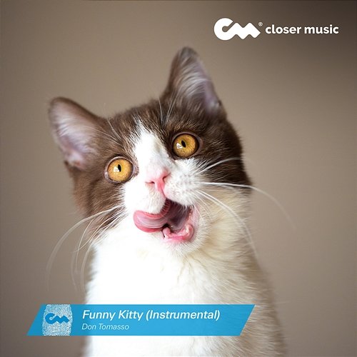 Funny Kitty Don Tomasso