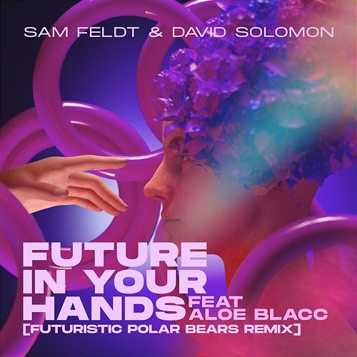 Future In Your Hands Sam Feldt & David Solomon feat. Aloe Blacc