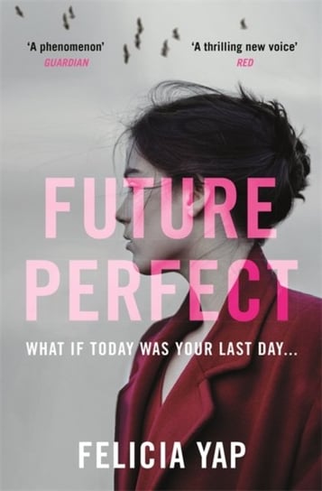 Future Perfect. The Most Exciting High-Concept Novel of the Year Yap Felicia