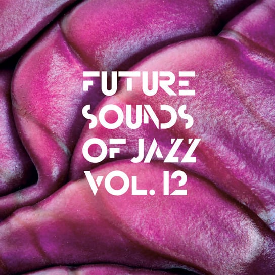 Future Sounds Of Jazz. Volume 12 Various Artists