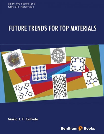 Future Trends For Top Materials - ebook epub Mario J. F. Calvete