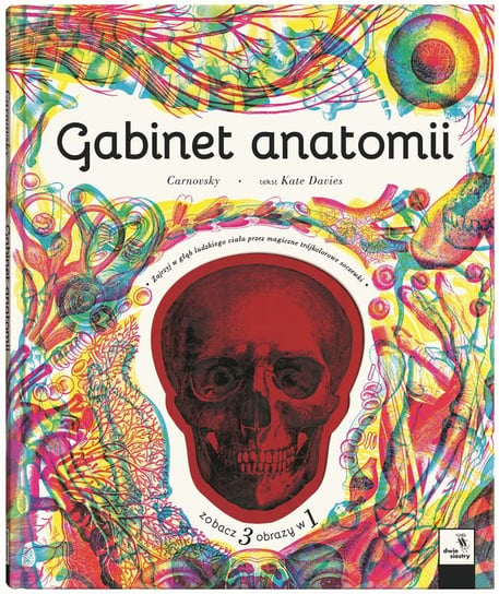 Gabinet anatomii Davies Kate, Carnovsky