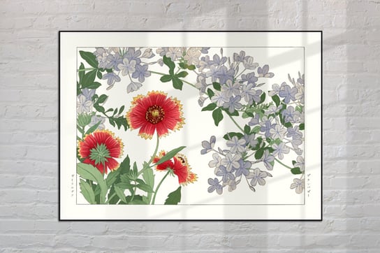 Gailardia Ołownik Plumbago Plakat Japonia Grafika Vintage 21X30 Cm (A4) / Dodoprint Dodoprint