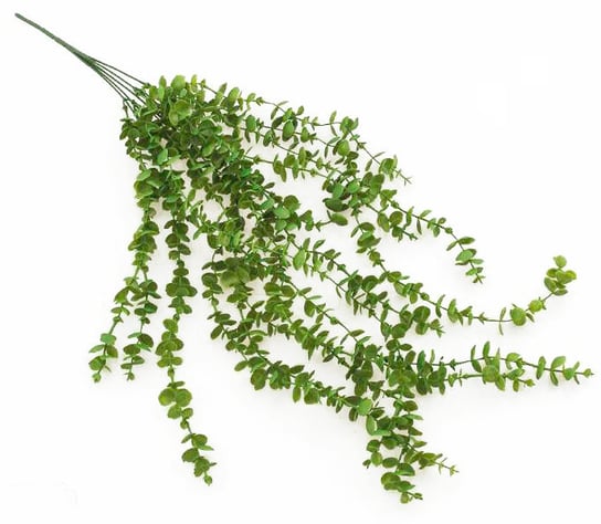 Gałazka ozdobna zielona Eukaliptus zwis wisząca liście Boho Inna marka