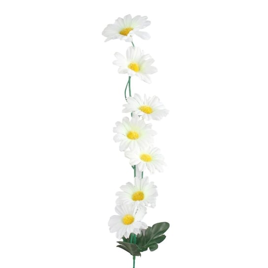 Gałązka Stokrotki 7 Kwiatów Do Bukietu Biała Siima