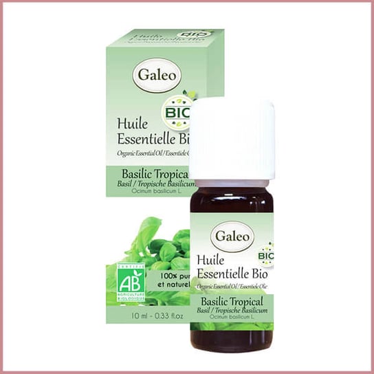 Galeo, Olejek eteryczny BIO z bazylii tropikalnej, 10 ml Galeo
