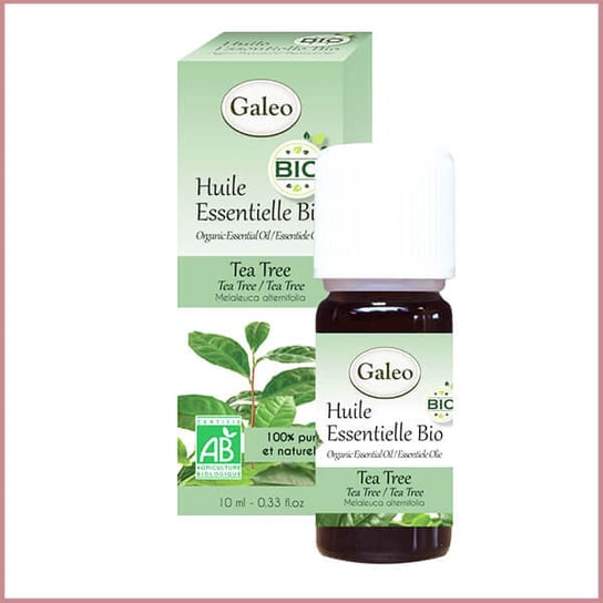 Galeo, Olejek eteryczny BIO z drzewa herbacianego, 10 ml Galeo