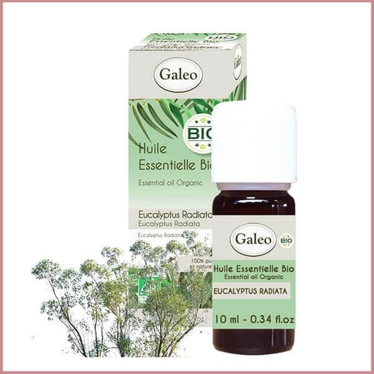 Galeo, Olejek eteryczny BIO z eukaliptusa australijskiego, 10 ml Galeo