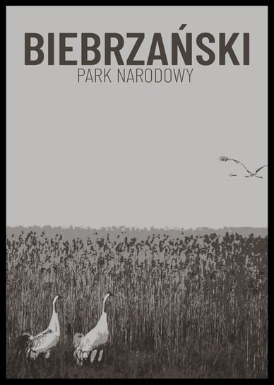 Galeria Plakatu, Parki Narodowe, Biebrza b&w, 59,4x84,1 cm Galeria Plakatu