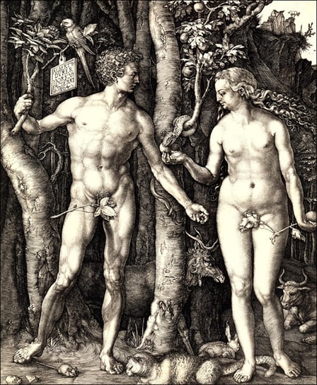 Galeria Plakatu, Plakat, Adam and Eve, Albrecht Durer, 40x60 cm Galeria Plakatu