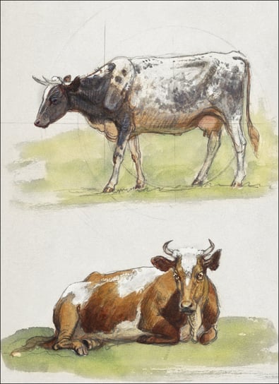 Galeria Plakatu, Plakat, Cattle, a Cow Walking and a Cow Crouching, Samuel Colman, 29,7x42 cm Galeria Plakatu