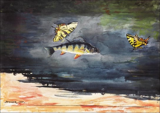 Galeria Plakatu, Plakat, Fish and Butterflies, Winslow Homer, 50x40 cm Galeria Plakatu