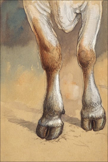 Galeria Plakatu, Plakat, Forelegs of a Standing Cow or Ox, Newport, Samuel Colman, 59,4x84,1 cm Galeria Plakatu