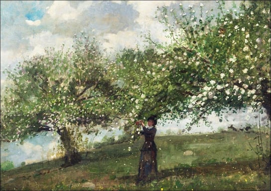 Galeria Plakatu, Plakat, Girl Picking Apple Blossoms, Winslow Homer, 50x40 cm Galeria Plakatu