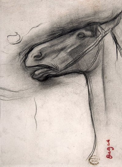 Galeria Plakatu, Plakat, Head Of A Horse, Edgar Degas, 42x59,4 cm Galeria Plakatu
