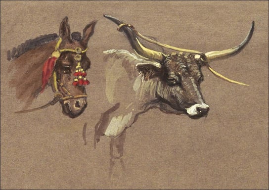 Galeria Plakatu, Plakat, Head of a Mule with a Bridle, Head of a Buffalo or Ox, Samuel Colman, 40x30 cm Galeria Plakatu
