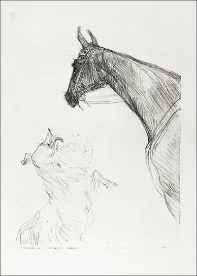 Galeria Plakatu, Plakat, Horse and Collie, Henri De Toulouse-Lautrec, 60x80 cm Galeria Plakatu