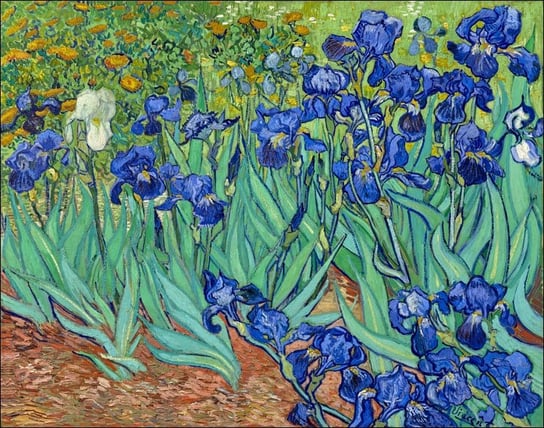 Galeria Plakatu, Plakat, Irysy, Vincent Van Gogh, 59,4x42 cm Galeria Plakatu