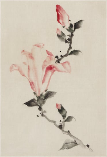 Galeria Plakatu, Plakat, Large Pink Blossom on a Stem with Three Additional Buds, Hokusai, 61x91,5 cm Galeria Plakatu