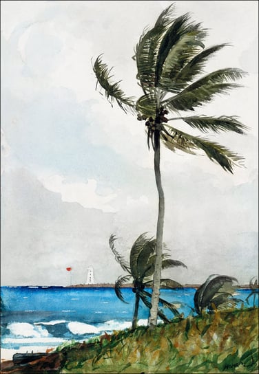 Galeria Plakatu, Plakat, Palm Tree, Nassau, Winslow Homer, 60x80 cm Galeria Plakatu