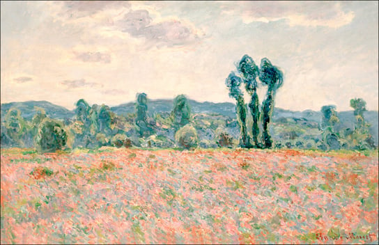 Galeria Plakatu, Plakat, Pole Maków, Claude Monet, 91,5x61 cm Galeria Plakatu