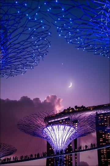 Galeria Plakatu, Plakat, Singapur, Księżyc, 40x60 cm Galeria Plakatu