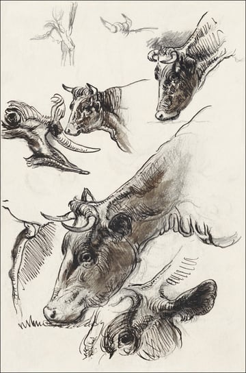 Galeria Plakatu, Plakat, Sketches of Cattle, Irvington, Samuel Colman, 61x91,5 cm Galeria Plakatu