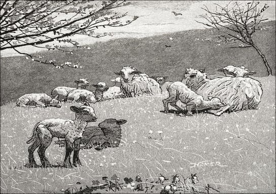 Galeria Plakatu, Plakat, Spring Lamb, Winslow Homer, 100x70 cm Galeria Plakatu