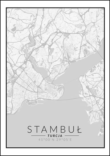 Galeria Plakatu, Plakat, Stambuł Mapa Czarno Biała, 61x91,5 cm Galeria Plakatu