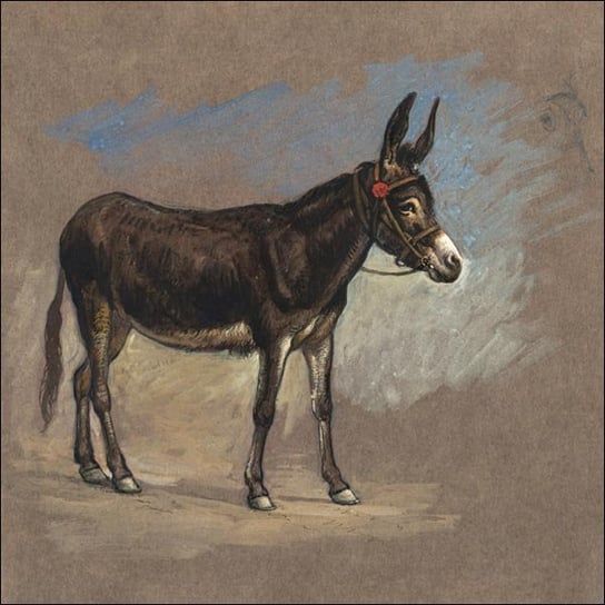 Galeria Plakatu, Plakat, Study of a Mule, Samuel Colman, 30x30 cm Galeria Plakatu