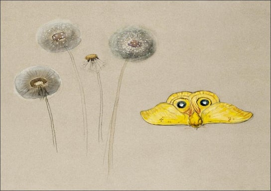 Galeria Plakatu, Plakat, Study of White Daisy, Chamomile Stem with Two Petals, and a Chamomile Petal, Samuel Colman, 42x29,7 cm Galeria Plakatu