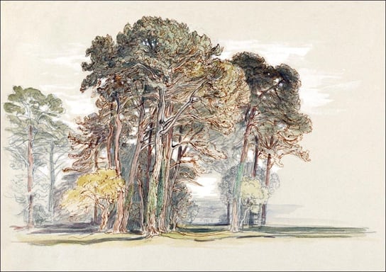 Galeria Plakatu, Plakat, The Pine Trees of El Monte, California, Samuel Colman, 100x70 cm Galeria Plakatu
