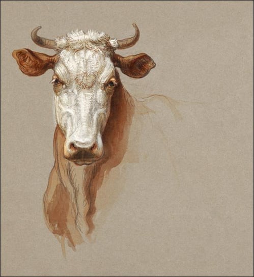 Galeria Plakatu, Plakat, Two Studies of Cattle, Samuel Colman, 40x40 cm Galeria Plakatu