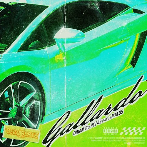 Gallardo PLV49 & MALOS, Oiram R
