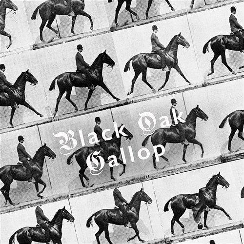 Gallop Black Oak, The Black Atlantic & I Am Oak
